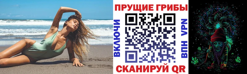 Купить  Арамиль  Псилоцибиновые грибы мицелий 